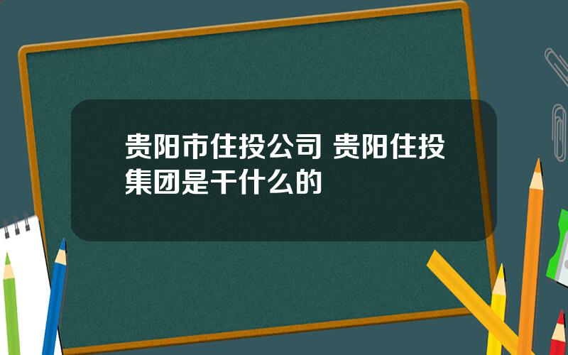 贵阳市住投公司 贵阳住投集团是干什么的